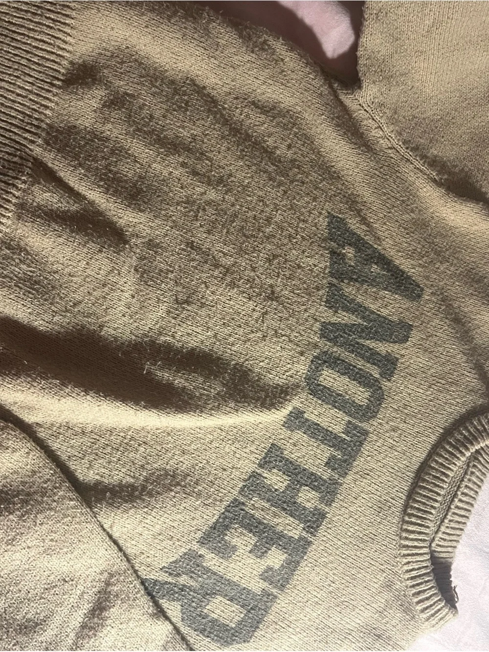 Womens Beige Crewneck Sweater with Graphic Text